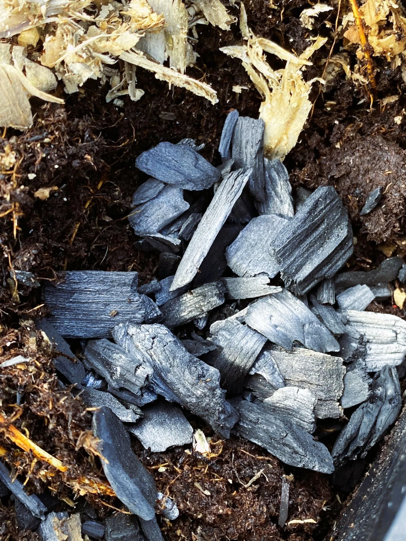 Biokol och dess porösa struktur